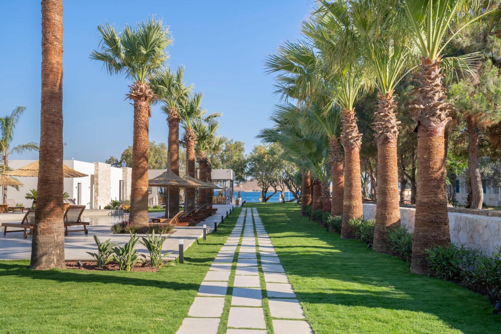 Regia Mare Beach Hotel & Spa Bodrum Ortakent Exterior foto