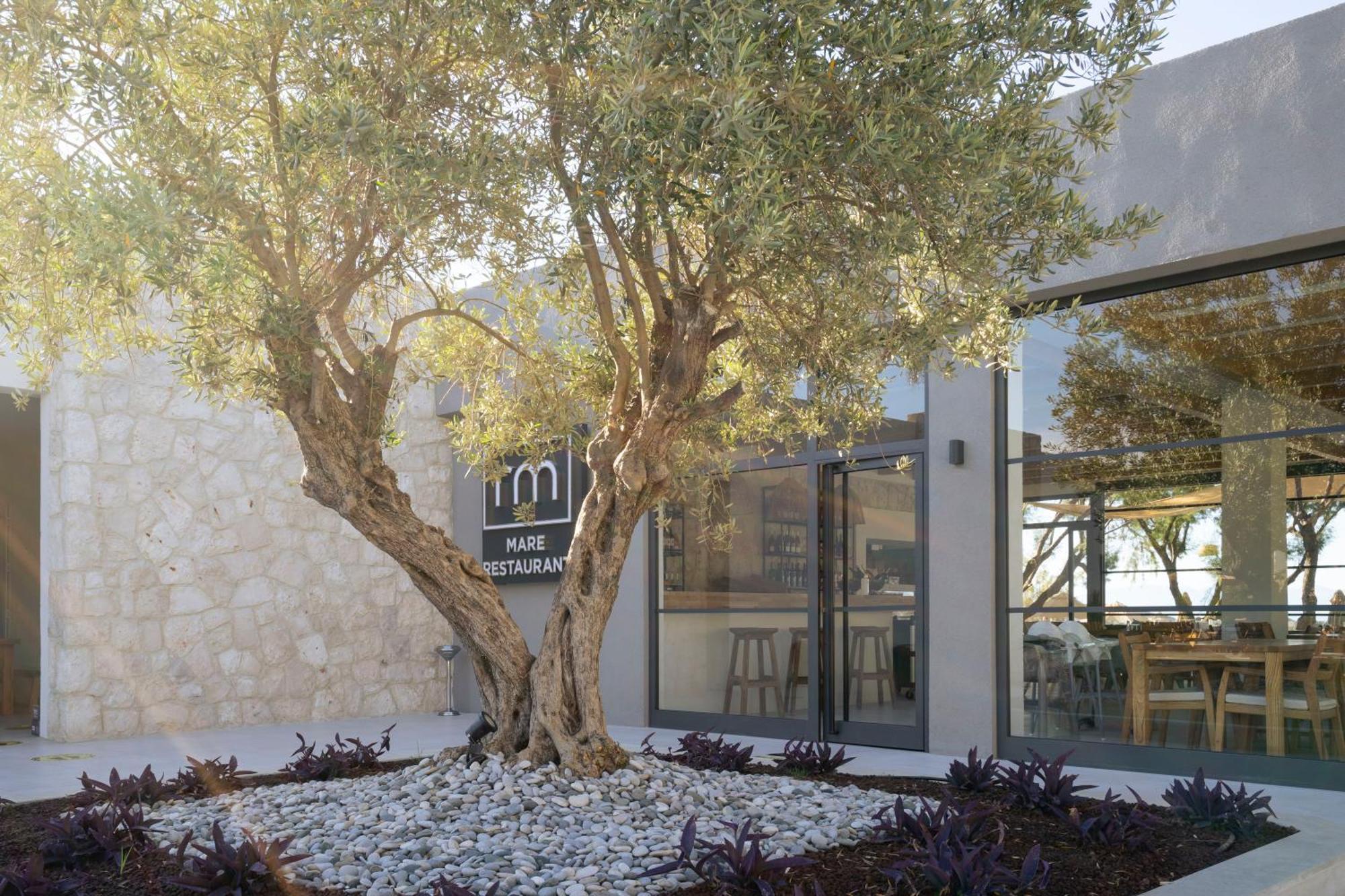 Regia Mare Beach Hotel & Spa Bodrum Ortakent Exterior foto